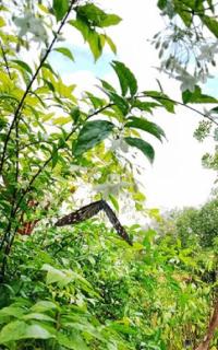 Najjamee Bungalows - 1