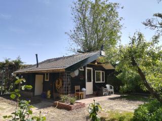 het Uylennest, uniek en goedkoop! - Hem - 6