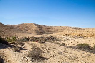 Naot Farm - Mashabbe Sade - 4