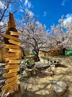 The 2 Magpies, Hunza - Alīābād - 7