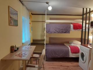 Avotu Stabu Private Flats in a Separate House For One or Couple - Riga - 0