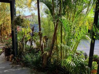 Dolphin Cottage Garden Studio - Huskisson - 9