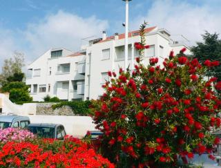 Brezza Marina - Santo Stefano al Mare - 9