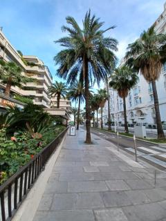 Appartement Cannes à quelques pas de la mer, de la Croisette et du Palais des Festivals - Cannes - 6