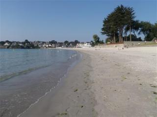 T3 RDC 200 m2 de jardin plages à 700 m - 4