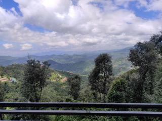Stunning Views, Jujurana Homestay Shoghi ! 3 Apartments Near Simla - 6