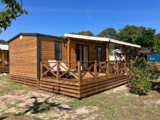 Camping RCN Domaine de la Noguière - Le Muy - 1
