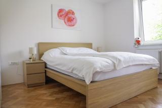 Bright Apartment - Ljubljana - 1