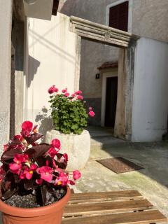Studio Centar - Cres - 8