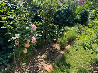 Holiday Home Vesna - 3