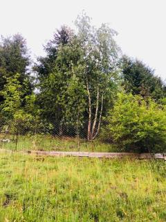 Під лісом - 5