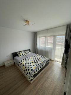 Arca Residence Apartments - Brasov - 9