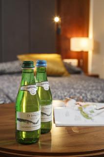 Hotel SPA Dr Irena Eris Polanica Zdrój - Polanica-Zdrój - 8