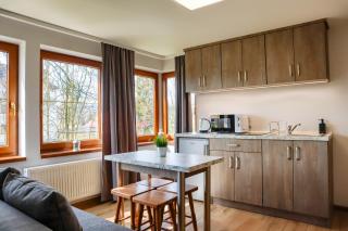 Apartments Pod Jaworami - relaks - jacuzzi, sauna na wyłączność - Białka Tatrzańska - 8