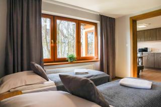 Apartments Pod Jaworami - relaks - jacuzzi, sauna na wyłączność - Białka Tatrzańska - 4