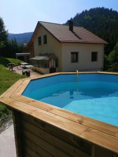 Gite de L'ours - La Bresse - 9