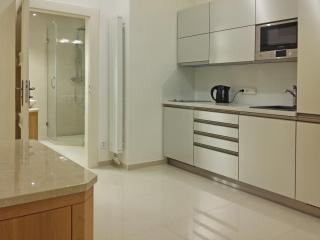 New apartment in a historical building - Praga - 0