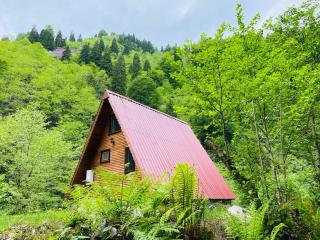Mountain House - Bungalow - Cayeli - 8