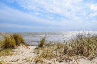 Land in Sicht - List - 1