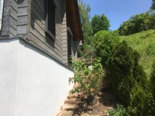 SweetSuites 40A Lavendelhaus - Mühlhausen - 6