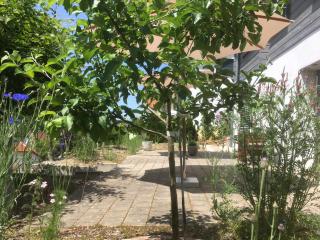 SweetSuites 40A Lavendelhaus - Mühlhausen - 7
