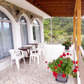 Odysseas - Stavros - 7