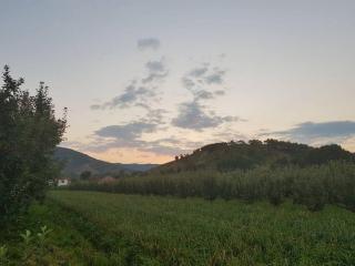 Holidayhome with 100% bio food - 3