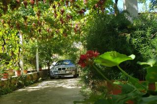 Holidayhome with 100% bio food - 1