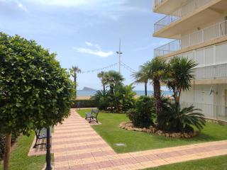 Living Benidorm. Playa Levante - Benidorm - 0