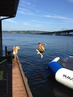 Fun Waterfront Home w/ Boat, Kayaks -Central Seattle! - Seattle - 6