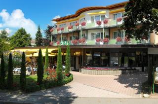Parkhotel an der Therme - Bad Krozingen - 7