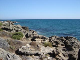 Grazioso bilocale a 200 m dal mare in residence con piscina e WI-FI - Linguizzetta - 4