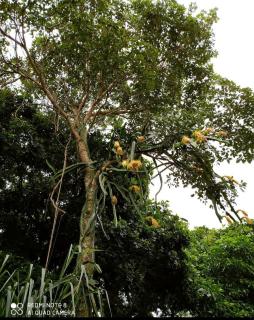 Pousada Cristo Redentor - 9