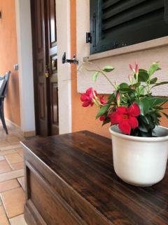 Il giardino delle rose - Spello - 1