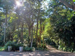 Buckingham Garden Suite - 8