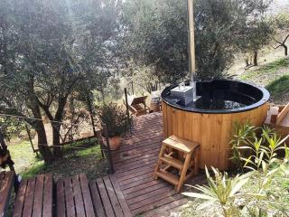 Glamping geodesic dome in secluded eco retreat - Alozaina - 5