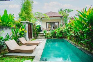 Pondok Ubud Nia Cahya - Tegalalang - 0