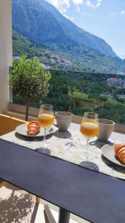 Olive tree - Makarska - 0
