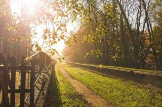 Whitwell and Reepham Station - Meadow View - Norwich - 8