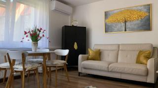 Golden Apartament Legionów - Toruń - 9