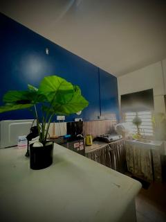 AD Homestay Gua Musang Terrace House with 3 room - 5