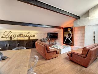 Pygmalion appartement - Avignone - 7