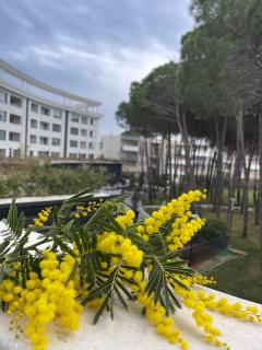 EME APARTMENTS - Kompleksi Lura 2 Gjiri i Lalzit - Durazzo - 9