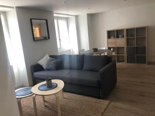 Superbe Appartement - La Côte-Saint-André - 4