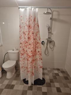 הברון baron - 6