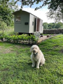 The Rookery - Lothersdale - 4