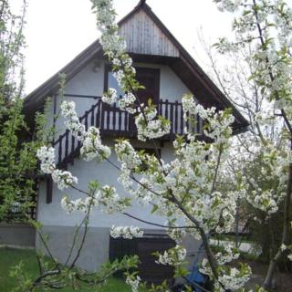 Nefelejcs Apartman - 2