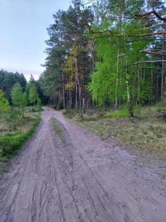 Olszówka - - 8