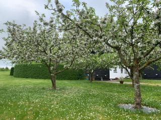Tusindfrugt B&B - Store Heddinge - 2