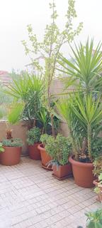 APARTAMENTO PRÍNCIPE - Cáceres - 9